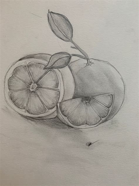 Fruit Drawing/Pencil Sketching and Shading | Small Online Class for Ages 8-13 | Outschool