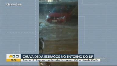 Bom Dia Go Temporal Alaga Ruas E Derruba Rvore Em Valpara So De