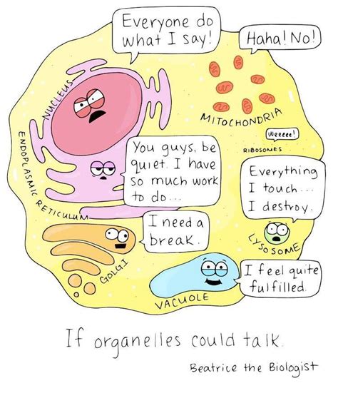 Science Cells Cartoon Funny Biology Classroom Biology Jokes Science Cells