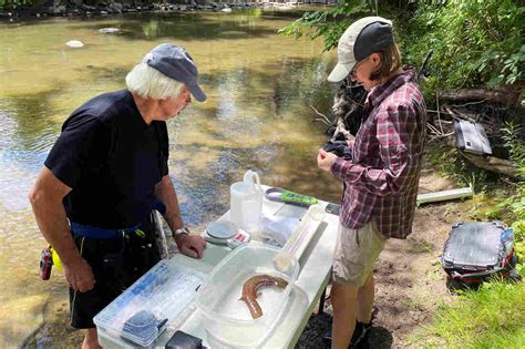 Wildlife conservation benefits popular species. The hellbender could ...