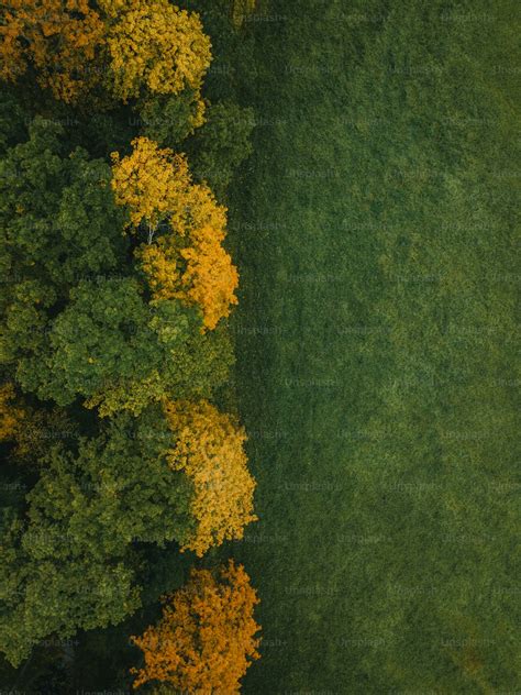 An aerial view of a grassy field with trees in the background photo ...