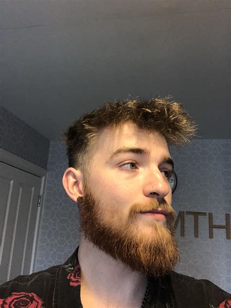 21 Years In And It’s Coming Along Nicely Turns Out A Hairdryer Is A Mans Best Friend R Beards