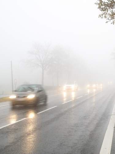 Laub N Sse Nebel Wie Du Im Herbst Sicher Ans Ziel Kommst