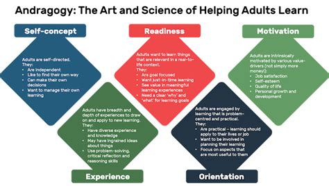 Exploring Adult Learning Theory