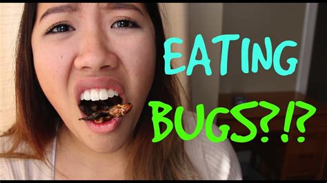 Mukbang L Asmr Eating Bugs Youtube