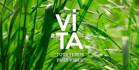 Vita on Behance
