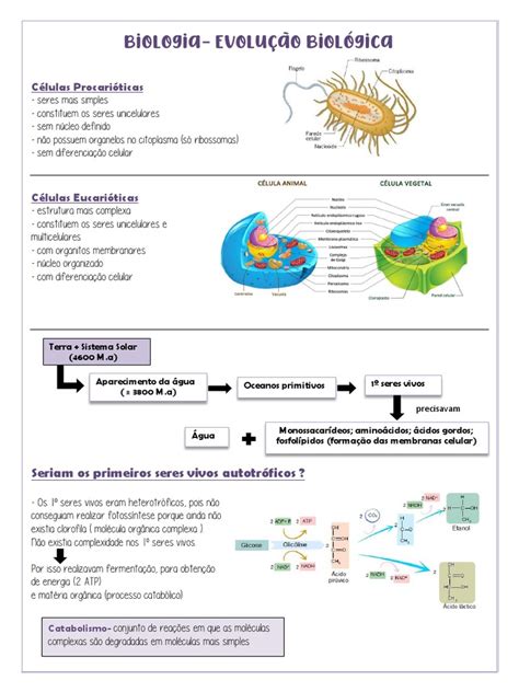 Biologia Evolução Biológica Pdf Procarionte Célula Biologia