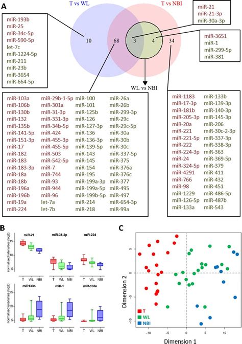 Differential Mirna Expression In Oscc Margins A Venn Diagram Download Scientific Diagram