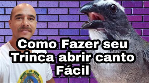 Como fazer o Trinca Ferro cantar em qualquer lugar que você puxar