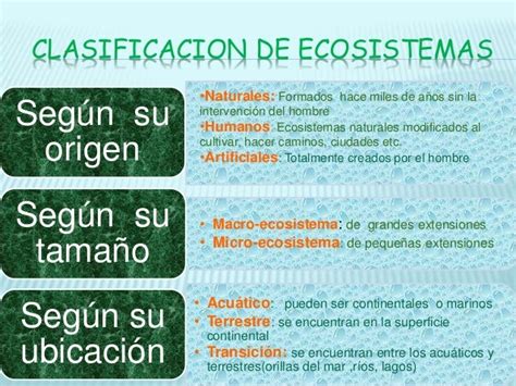 Ecosistemascomponentesclasificacion