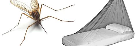 A Guide To Mosquito Nets For Travelling How To Hang A Mosquito Net