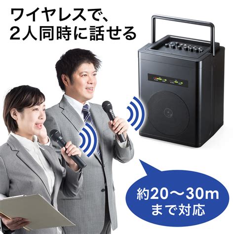sanwa supply  ac