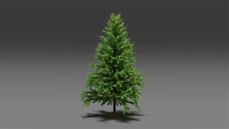 Pine Tree Free 3D Model In Blender Format – Quince Creative