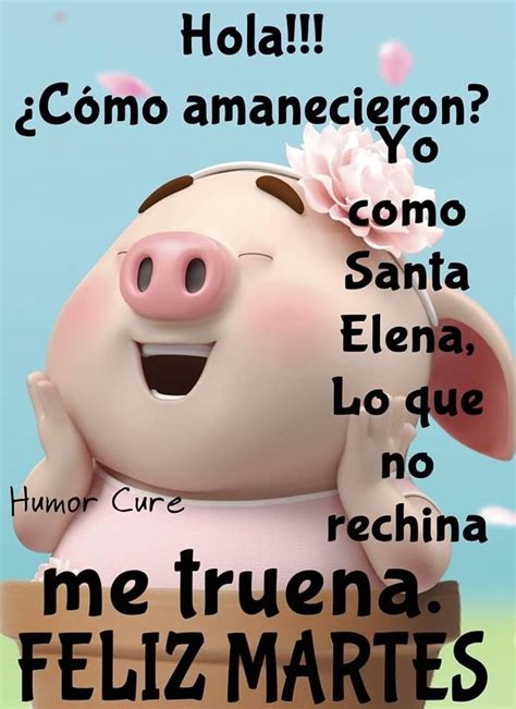 Pin De Cristina Sáenz En Graciosos Frases De Buen Humor Imagenes