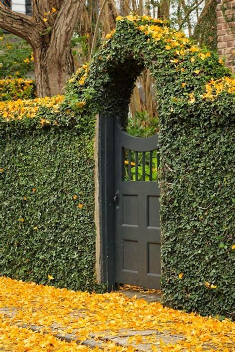 12 Fabulous Floral Garden Gates In Bold Color The Art In Life