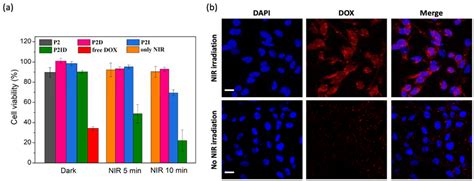 Polymers Free Full Text Near Infrared Light Remote Localized Drug