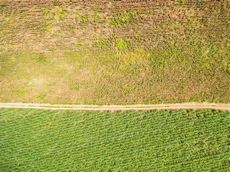 Vistas Aéreas De Campos Y Parcelas Agrícolas Plantaciones De Caña De