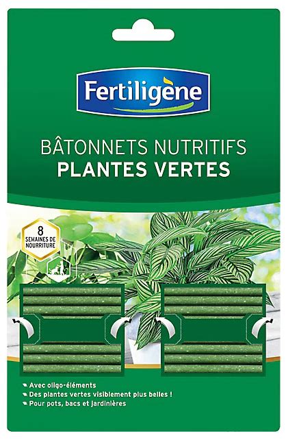 Bâtonnets d Engrais Plantes Vertes Fertiligène x40 FERTILIGENE DOD