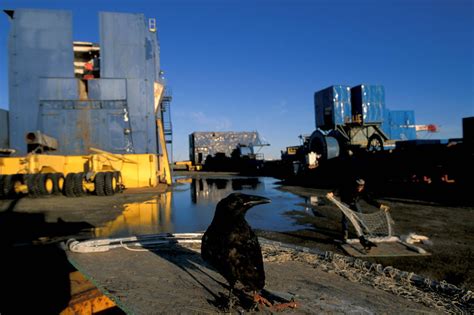 Bir041 00001 Joel Sartore