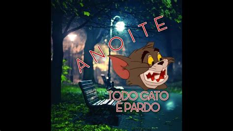 A Noite Todo Gato É Pardo - História de Hoje A noite todo gato e Pardo #nostalgia #amigos #humor # ...