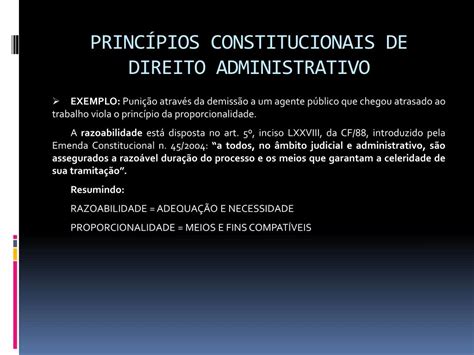 Ppt Princ Pios Constitucionais De Direito Administrativo Powerpoint