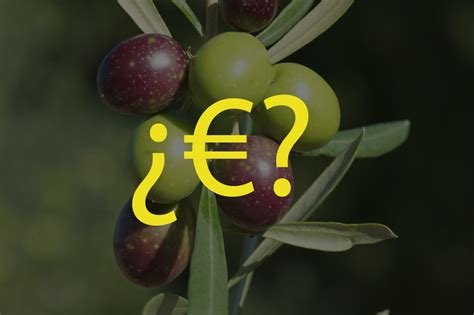 De qué depende el precio del aceite de oliva Lo analizamos Masia el