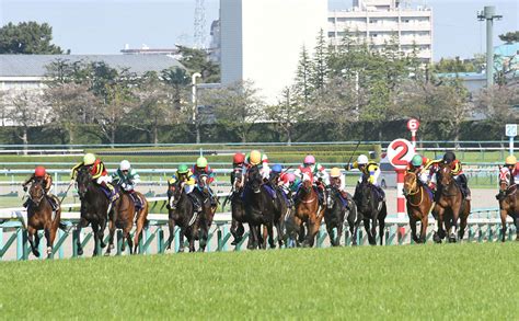 2023年 桜花賞g1を写真で振り返る【リバティアイランド 川田将雅騎手】 競馬まとめ