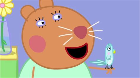 Replay Peppa Pig Peppa Pig La Tortue De La Doctoresse Hamster Du France