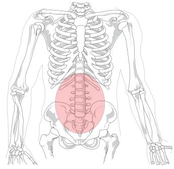 Lumbago: Definition, Causes, Symptoms & Treatment | Study.com