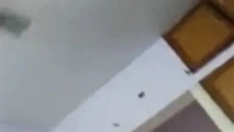 Free Desi Mobile Porn Videos Xhamster