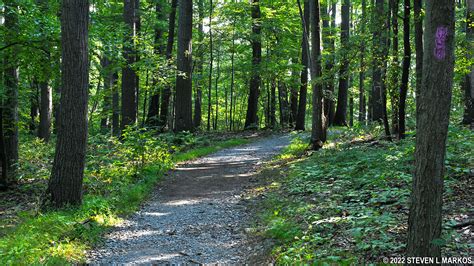 Catoctin Mountain Park | THURMONT VISTA LOOP HIKE