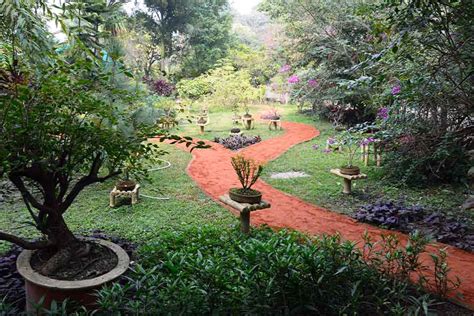 Alipore Horticultural Gardens in Kolkata | A history and walk through of The Agri-Horticultural ...