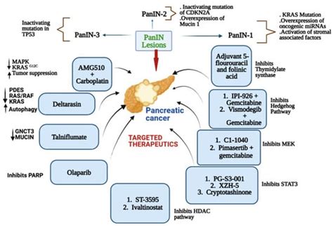 Cimb Free Full Text Molecular Research In Pancreatic Cancer Small