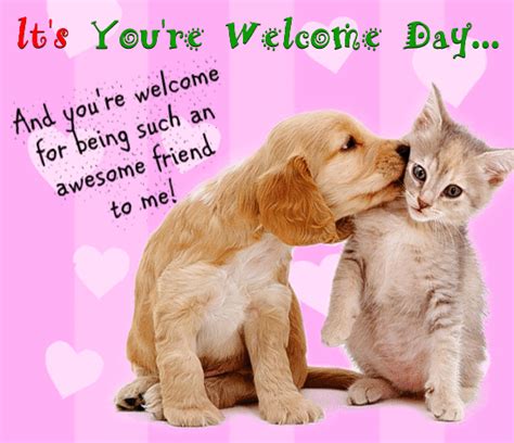 A Cute Youre Welcome Day Ecard Free Youre Welcome Day Ecards 123