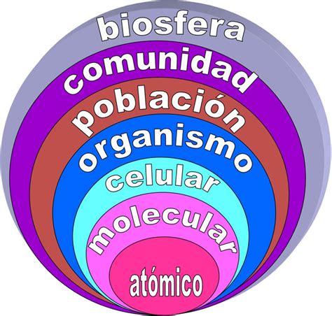 2do Secundaria Bioelementos Y Niveles De Organizacion De La Materia