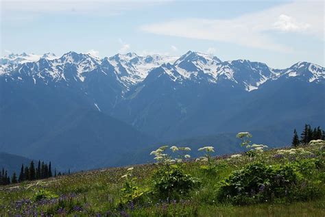 HD wallpaper: Mountain Ridge, mountain flora, snow, eternal, landscape ...