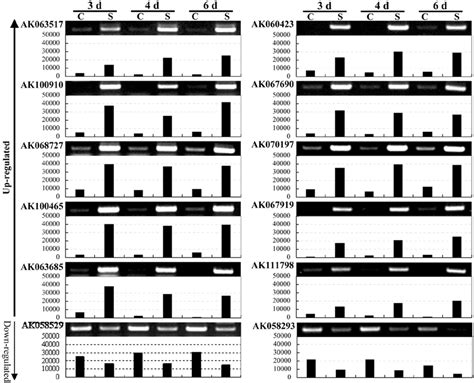 Rt Pcr Analysis To Validate The Microarray Data Twelve Genes