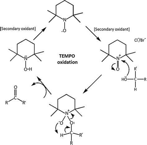 Scheme 2 Mechanism Of Oxidation Of Primary Alcohol With Tempo Tcc