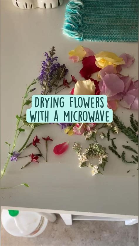 Drying flowers With a microwave | Pressed flowers diy, Dried flowers ...