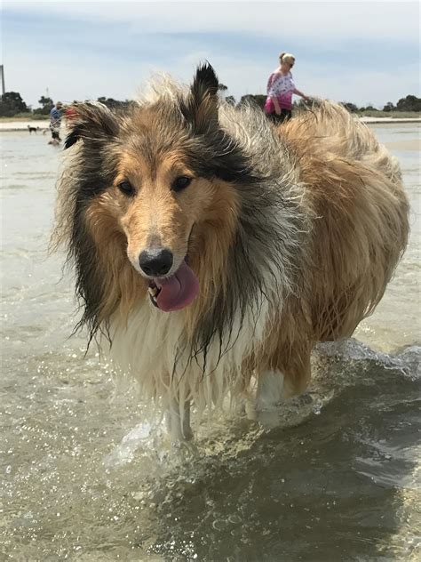 Overstock store rebranding is confusing loyal online shoppers today 25