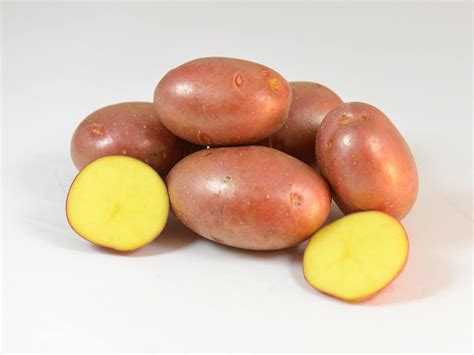 Red Potato Varieties Sunrain Potatoes