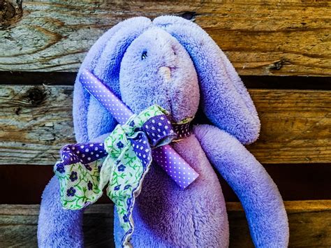 Easter Bunny - Free photo on Pixabay - Pixabay