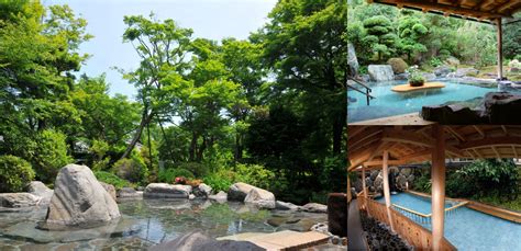 日帰り・0泊プラン｜箱根湯本温泉 吉池旅館【