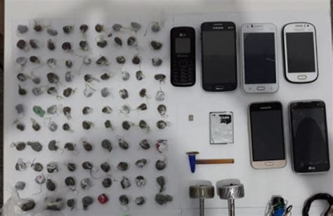 Agentes Prisionais Encontram Drogas Celulares Estoques E Outros