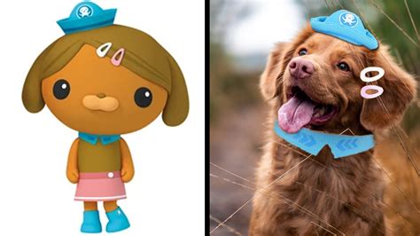 Dashi Of Octonauts In Real Life Endless Awesome