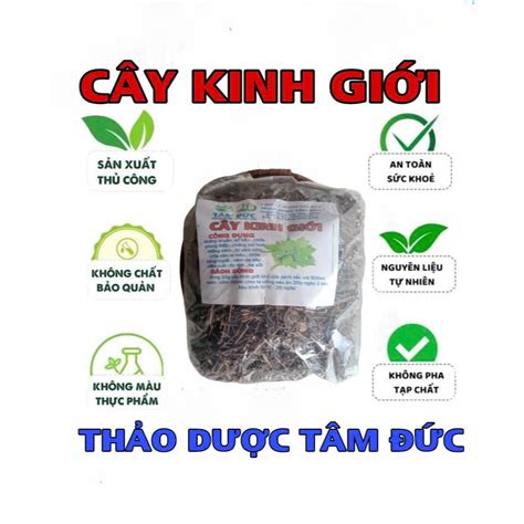 100g cây rau kinh giới sấy khô | Shopee Việt Nam