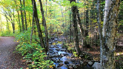Elevation of Mont-Tremblant, QC, Canada - Topographic Map - Altitude Map
