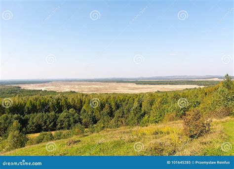 Bledowska Desert Sand The Largest Area Of Quicksand In Poland Located