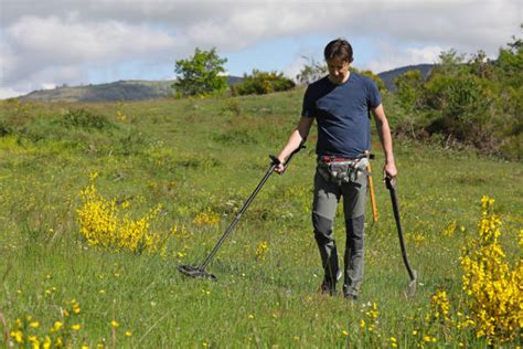 Metal Detector Wand Stock Photos Pictures And Royalty Free Images Istock