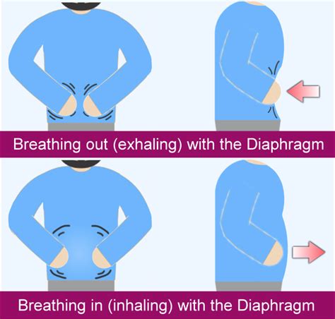 Breathing For The Professional Learn How To Do It The Proper Way Dr Roop Dhesi